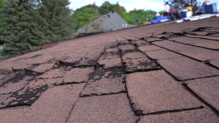 Best Rubber Roofing (EPDM, TPO)  in Snyderville, UT